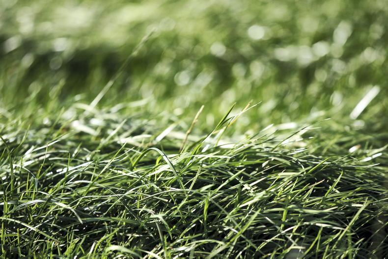 Dairy Management: grass management, investments and have your say on CAP Dairy Management: grass management, investments and have your say on CAP