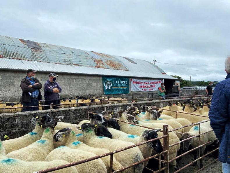 ‘We need to make farming feasible for the younger generation’ – farmers on CAP ‘We need to make farming feasible for the younger generation’ – farmers on CAP