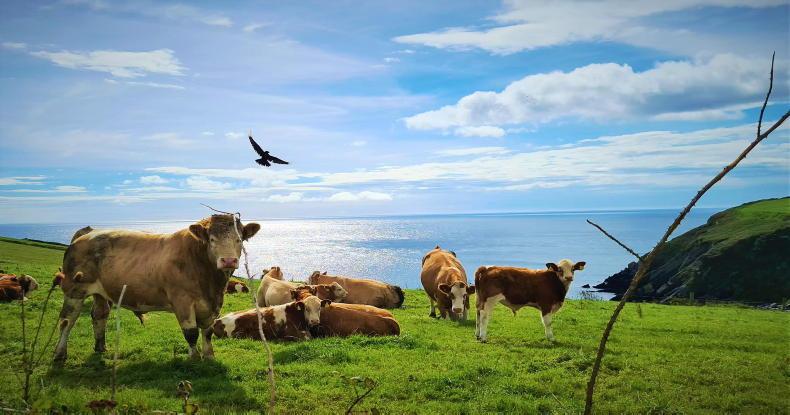 Weekend weather: Highs of 24°C for most parts of the country Weekend weather: Highs of 24°C for most parts of the country