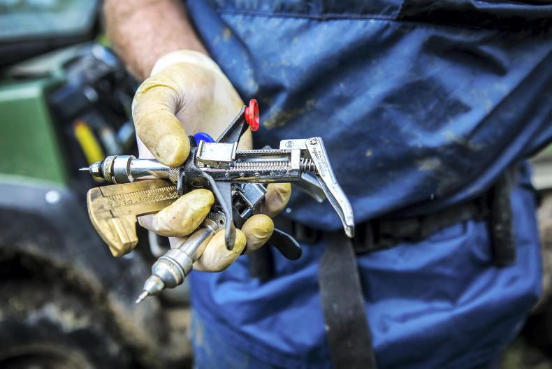 Flexibility around calf TB testing ends on Wednesday Flexibility around calf TB testing ends on Wednesday