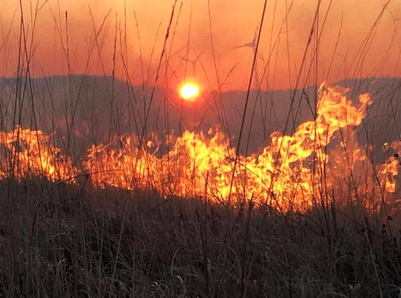 Farmers did not cause Killarney national park fire – gardaí Farmers did not cause Killarney national park fire – gardaí