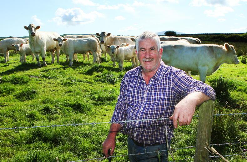 UFU confident of changes to TB plan UFU confident of changes to TB plan
