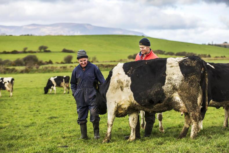 ‘Bring the dairy lover closer to the dairy farmer’ aim of new NDC campaign ‘Bring the dairy lover closer to the dairy farmer’ aim of new NDC campaign