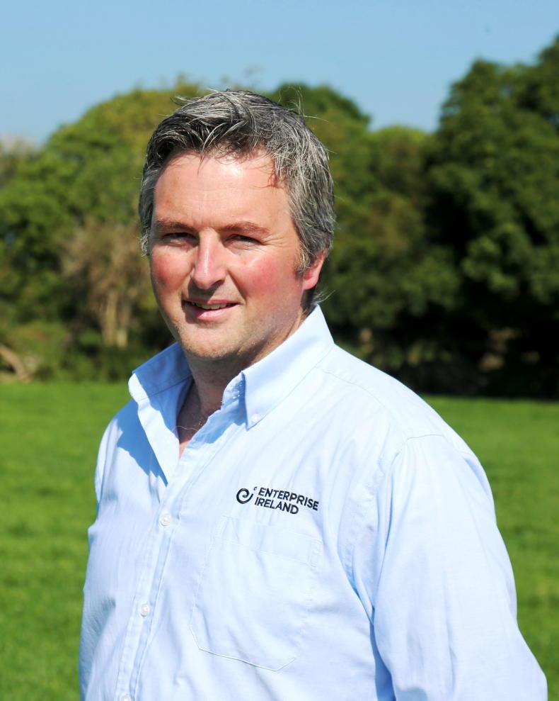 Innovation Arena finalists leading the way for a green and efficient future Innovation Arena finalists leading the way for a green and efficient future