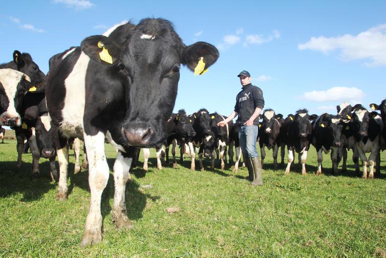 Farmer Writes: farmers need to be targeted in what they oppose Farmer Writes: farmers need to be targeted in what they oppose