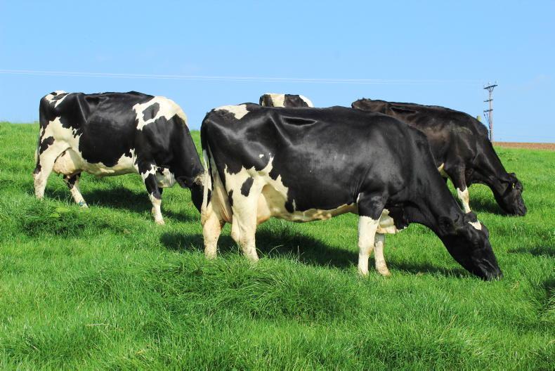 Dale Farm leads base price to four-year high