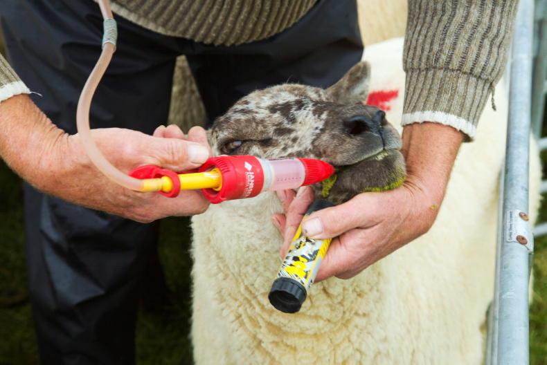 Getting the timing right for mineral supplementation under SWS Getting the timing right for mineral supplementation under SWS