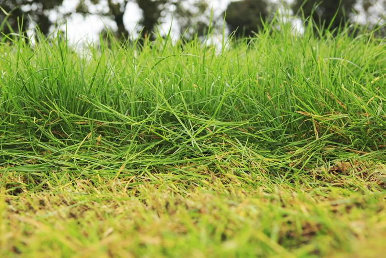 Weekly weather: quiet start to give way to unsettled conditions Weekly weather: quiet start to give way to unsettled conditions