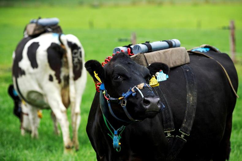 US-EU aim to cut methane emissions by 30% US-EU aim to cut methane emissions by 30%