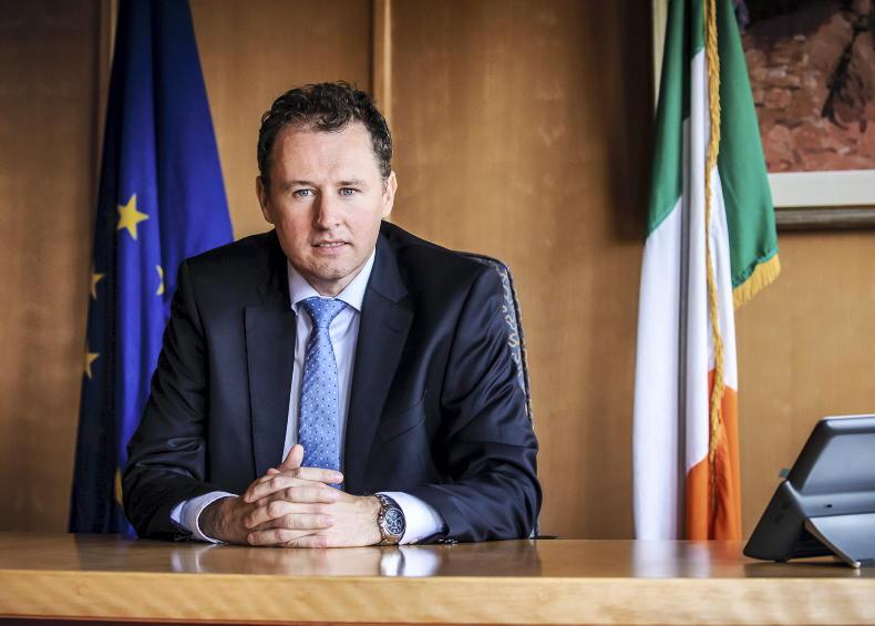 Limit on national herd not ruled out by McConalogue Limit on national herd not ruled out by McConalogue