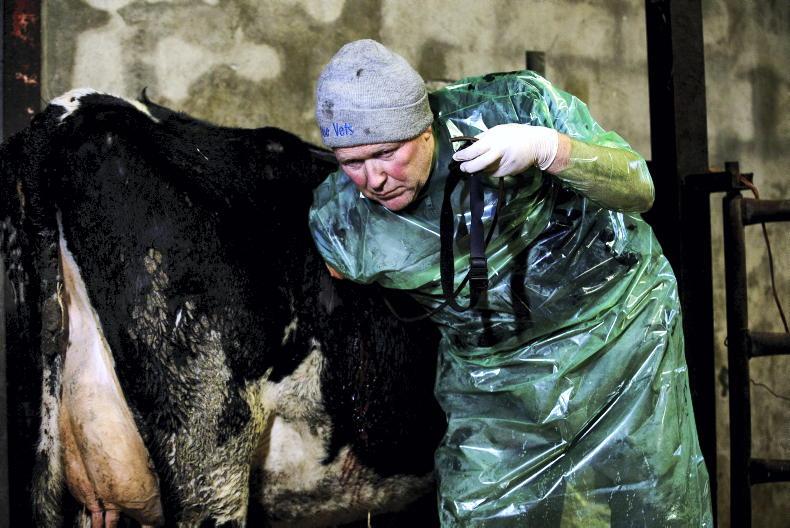 Have your say on veterinary practices and conduct Have your say on veterinary practices and conduct