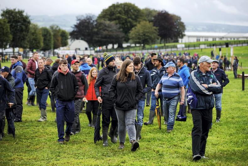 55% of dairy farmers intend to increase cow numbers 55% of dairy farmers intend to increase cow numbers