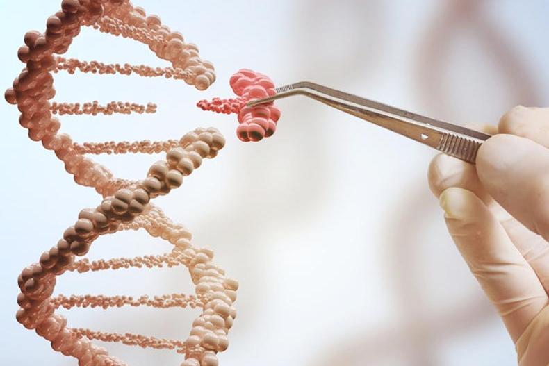 UK decides to push towards gene editing technologies UK decides to push towards gene editing technologies
