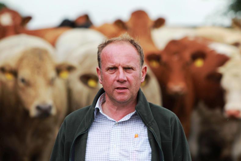 Farmer Writes: carbon credits issue could be a death knell for tree planting Farmer Writes: carbon credits issue could be a death knell for tree planting