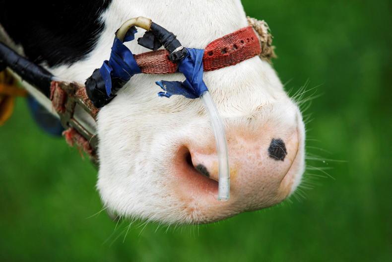 Biogenic methane accounting among EU methane strategy amendments Biogenic methane accounting among EU methane strategy amendments