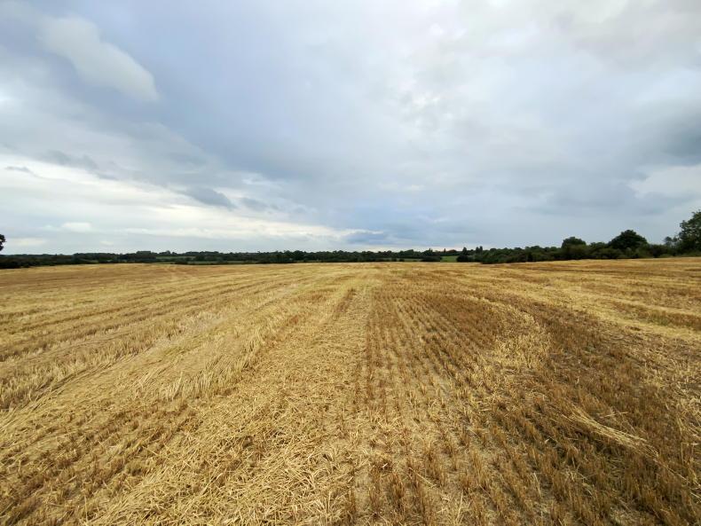 44ac tillage field in Co Meath for auction 44ac tillage field in Co Meath for auction