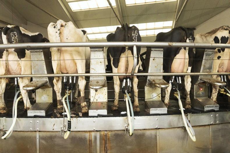 Agri jobs dairy farm manager in Cork and farm assistant in Kilkenny Free