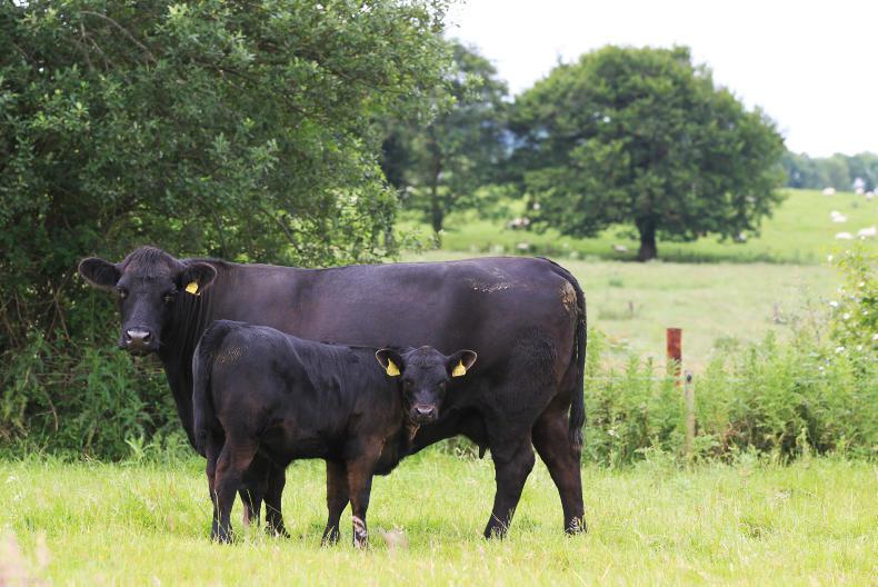 Minister targets 50,000ha for organics in 2022 Minister targets 50,000ha for organics in 2022