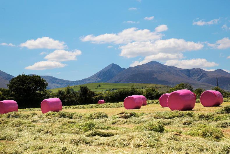 Losses of €4.5bn related to emissions reductions to be compensated by CAP Losses of €4.5bn related to emissions reductions to be compensated by CAP