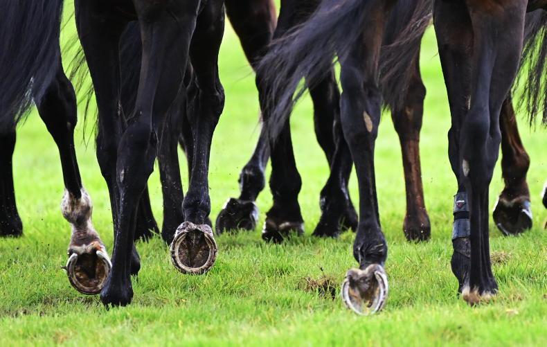 A tribute to star equestrian journalist Nicholas O’Hare A tribute to star equestrian journalist Nicholas O’Hare