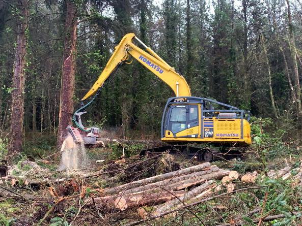 New organisation aims to fight for carbon credits New organisation aims to fight for carbon credits