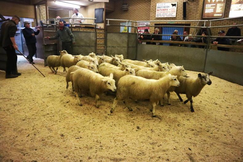 Another strong week for prices in Scottish marts and abattoirs Another strong week for prices in Scottish marts and abattoirs