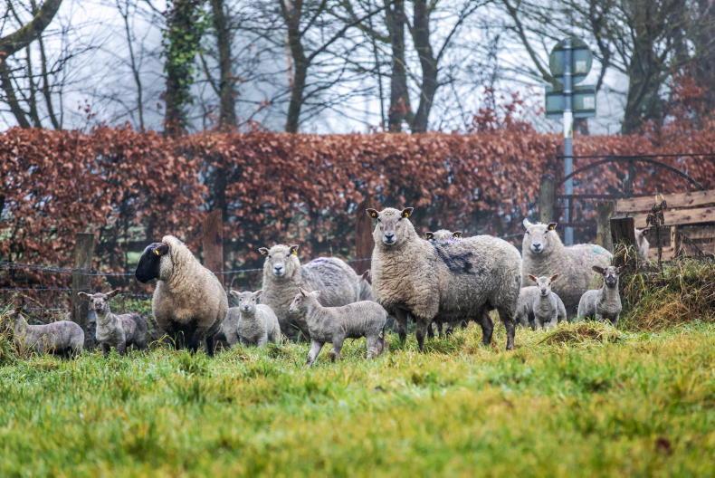 Weekend weather: wet and windy weather will continue Weekend weather: wet and windy weather will continue
