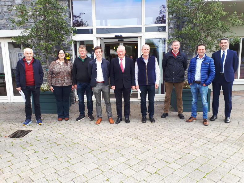 TAMS should extend to horse facilities – IFA TAMS should extend to horse facilities – IFA