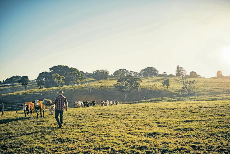 ICSA fears markets won't be there for organic expansion ICSA fears markets won't be there for organic expansion