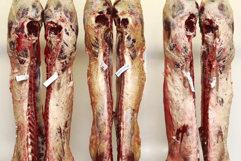 Beef Trends: quotes edging upwards Beef Trends: quotes edging upwards
