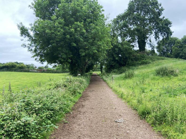 Cork neighbours fined for illegal hedgerow destruction Cork neighbours fined for illegal hedgerow destruction