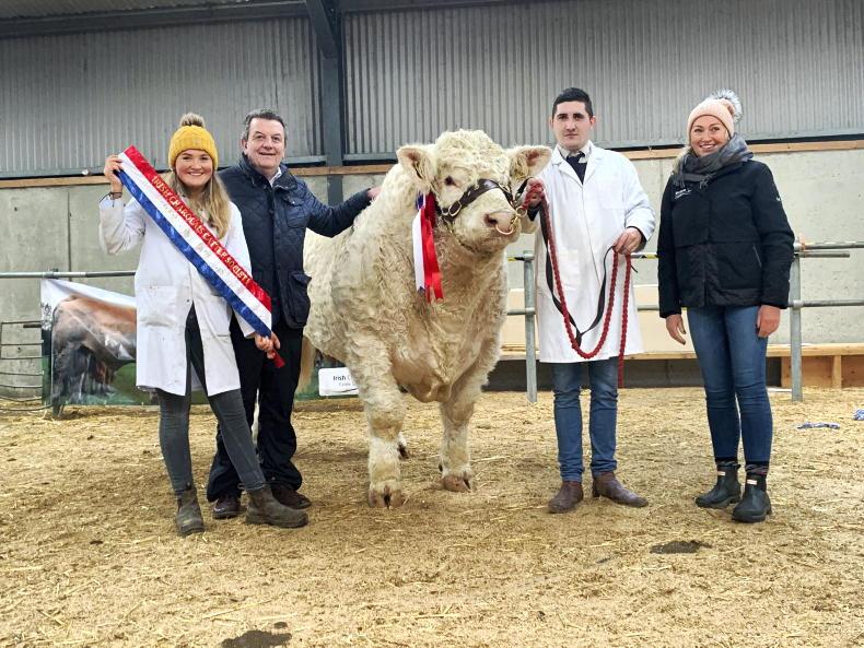 Ballym herd sets the pace at Charolais Tullamore sale Ballym herd sets the pace at Charolais Tullamore sale