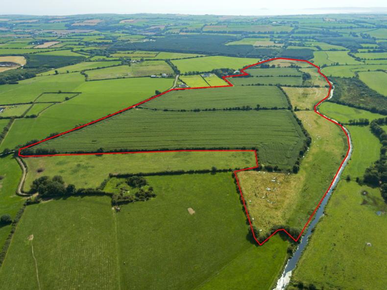 Two farms for sale in Co Cork Free