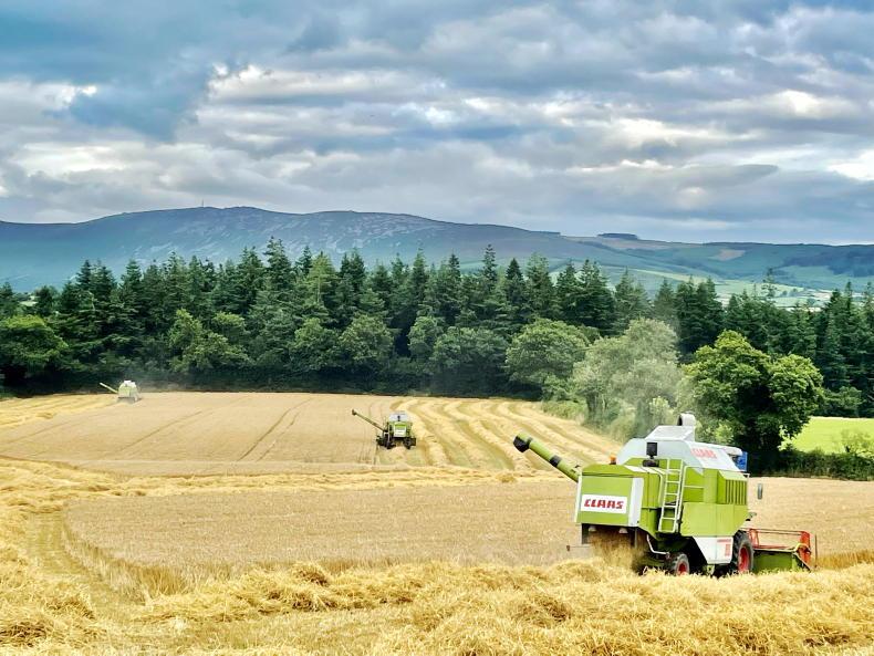 Surging input costs to slash profit on farms next year – ifac Surging input costs to slash profit on farms next year – ifac