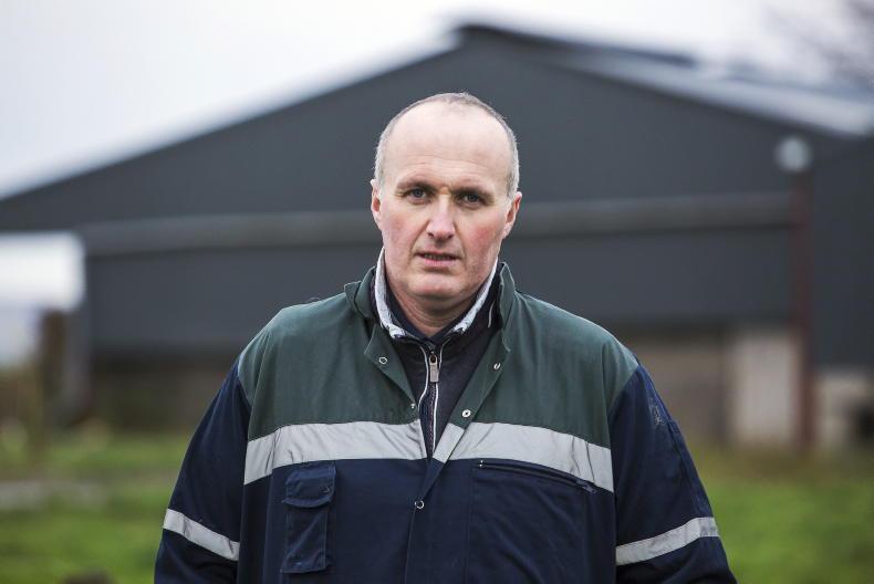 Ireland to dairy and beef what California is to tech – ICMSA Ireland to dairy and beef what California is to tech – ICMSA