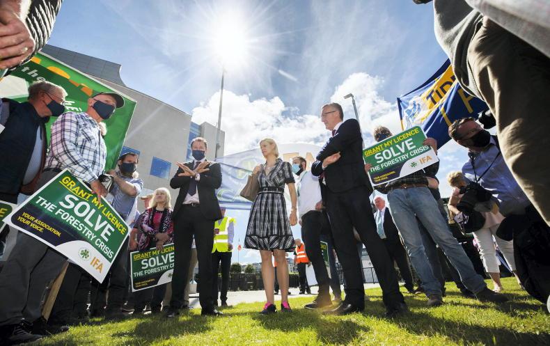 Forestry requires ‘multi-layered’ solutions - Hackett Forestry requires ‘multi-layered’ solutions - Hackett