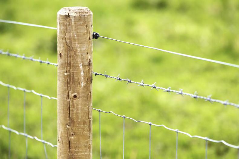 Greening was a ‘cynical attempt’ to protect high historic payments Greening was a ‘cynical attempt’ to protect high historic payments