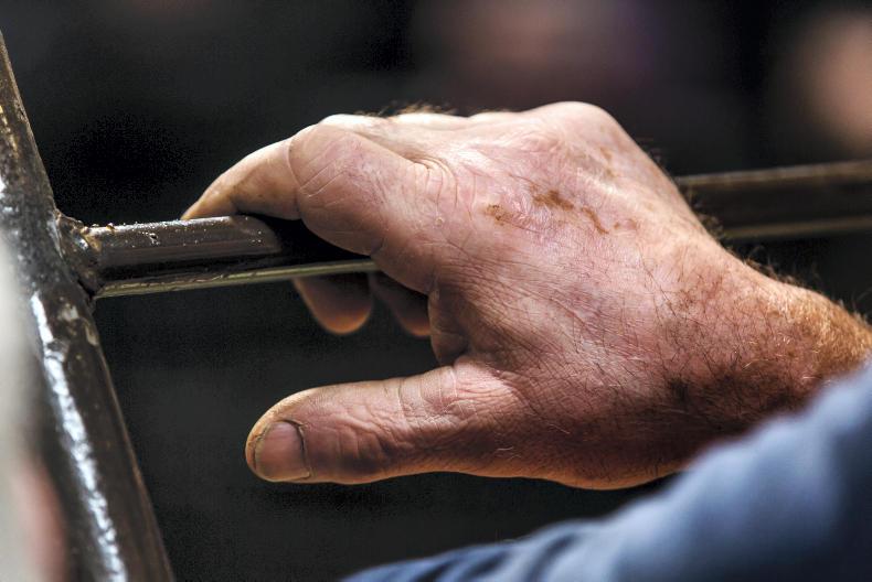 MartBids Database: weanling prices variable as numbers decline MartBids Database: weanling prices variable as numbers decline