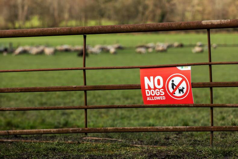 Almost 500 livestock worrying incidents reported in two years Almost 500 livestock worrying incidents reported in two years