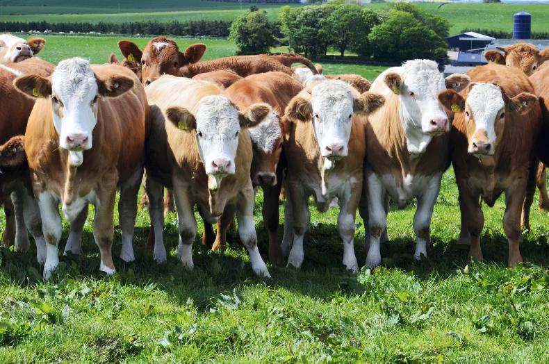Costs puts pressure on UK farm returns in 2022 Costs puts pressure on UK farm returns in 2022
