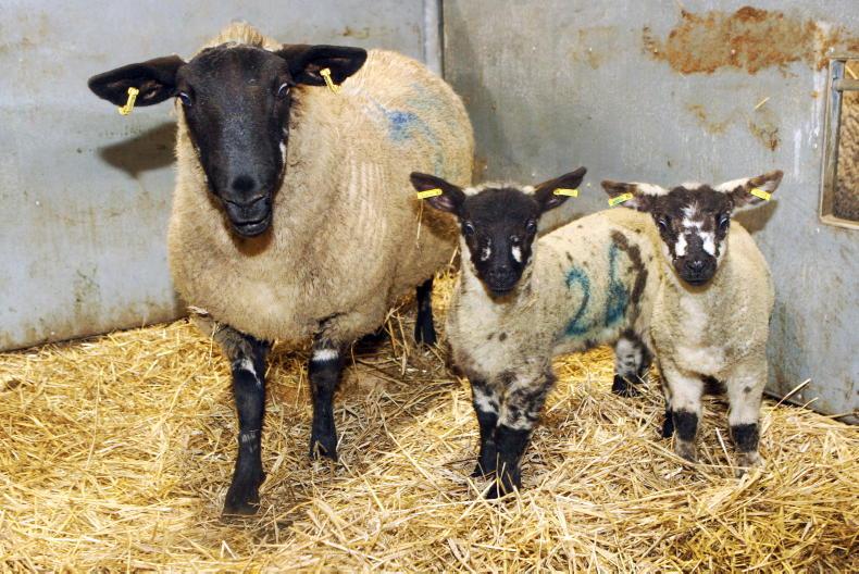 No changes to EID tagging in Northern Ireland No changes to EID tagging in Northern Ireland