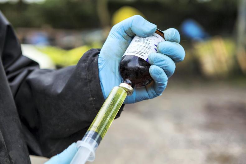 Veterinary medicine changes: what you need to know Veterinary medicine changes: what you need to know