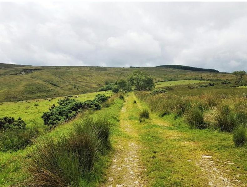 Potential boost for farmers with designated land in next CAP Potential boost for farmers with designated land in next CAP