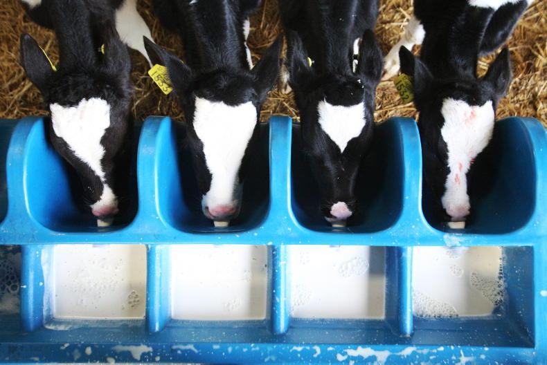 Proposed animal transport rules a major threat to calf trade - IFA Proposed animal transport rules a major threat to calf trade - IFA