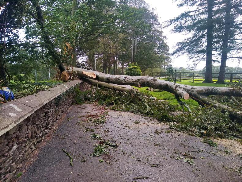 Storm Barra to bring high winds and heavy rain Storm Barra to bring high winds and heavy rain