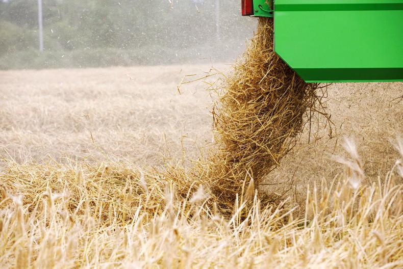 Outlook 2022: a good year in tillage but another hit coming Outlook 2022: a good year in tillage but another hit coming