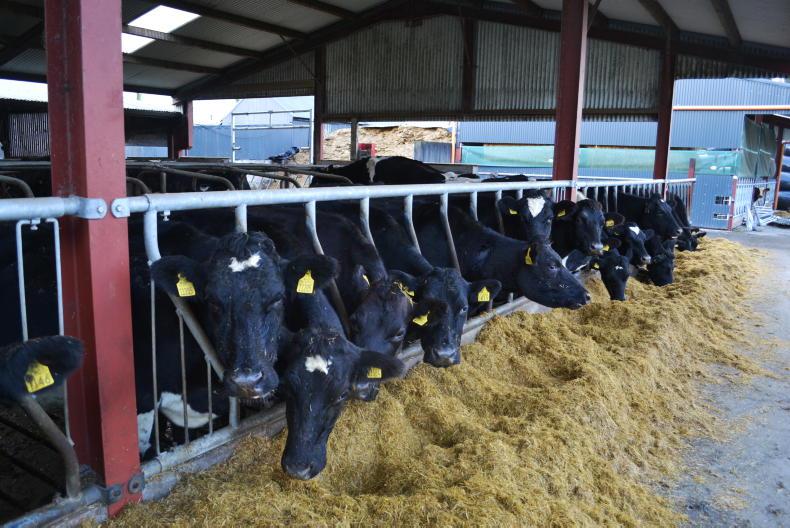 Grassland Farmer of the Year: Meet the finalists Grassland Farmer of the Year: Meet the finalists