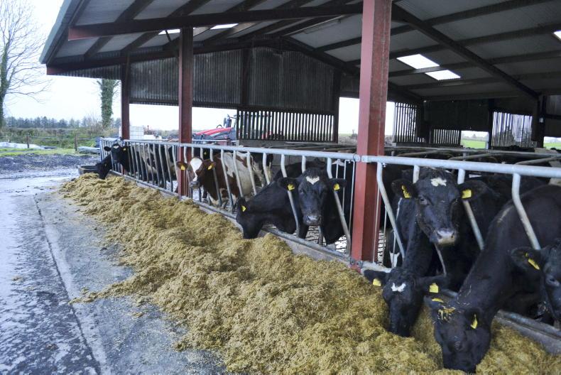 Grassland Farmer of the Year: Meet the finalists Grassland Farmer of the Year: Meet the finalists