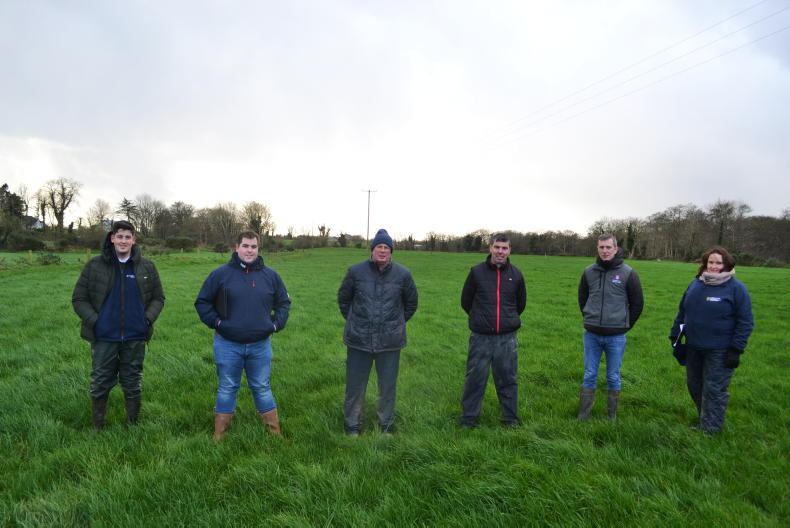 Grassland Farmer of the Year: Meet the finalists Grassland Farmer of the Year: Meet the finalists