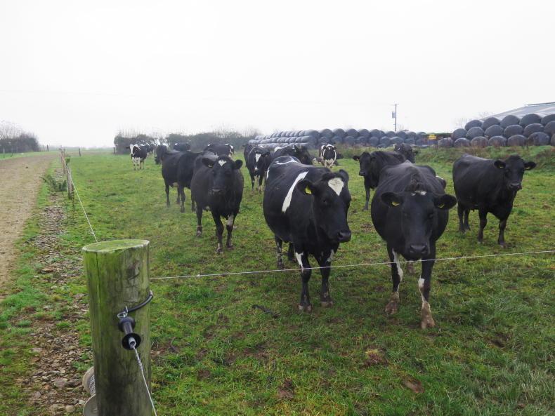 Grassland Farmer of the Year: Meet the finalists Grassland Farmer of the Year: Meet the finalists
